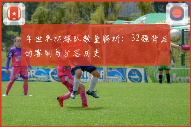 年世界杯球队数量解析：32强背后的赛制与扩容历史