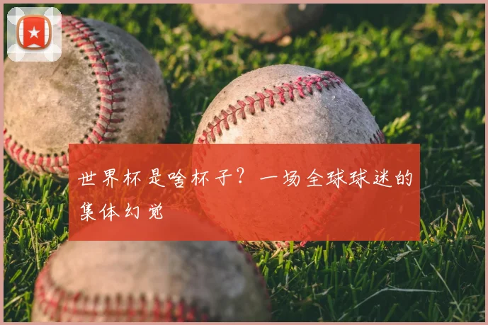 世界杯是啥杯子?一场全球球迷的集体幻觉