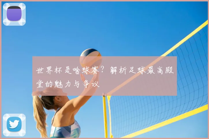 世界杯是啥球赛?解析足球最高殿堂的魅力与争议