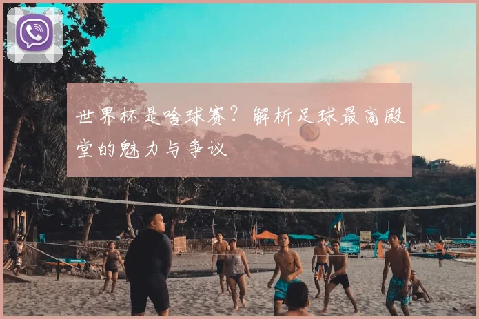 世界杯是啥球赛?解析足球最高殿堂的魅力与争议